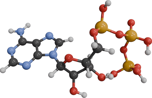 ATP.structure.x0y0z0 ATP.structure.x0y0z0